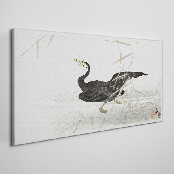 Black cormorant among the reeds Canvas Wall art