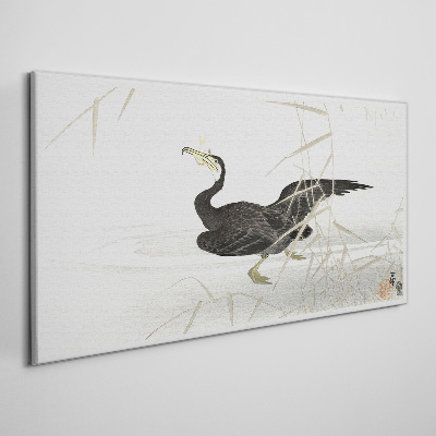 Black cormorant among the reeds Canvas Wall art