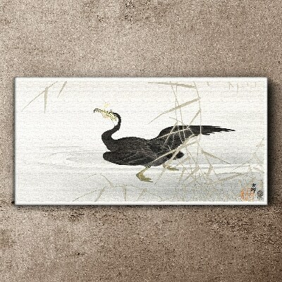 Black cormorant among the reeds Canvas Wall art
