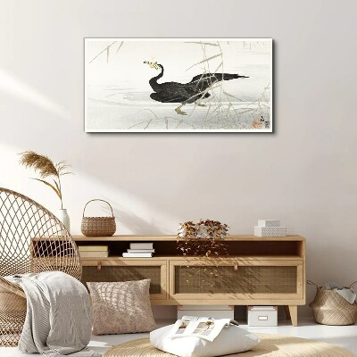 Black cormorant among the reeds Canvas Wall art