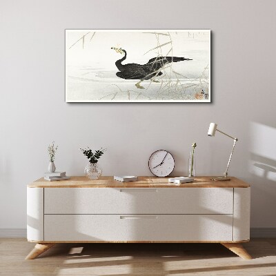 Black cormorant among the reeds Canvas Wall art