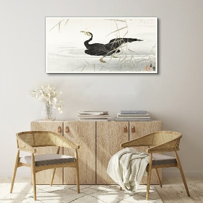 Black cormorant among the reeds Canvas Wall art