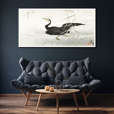 Black cormorant among the reeds Canvas Wall art