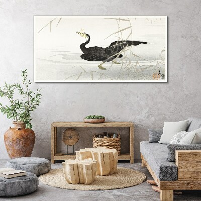 Black cormorant among the reeds Canvas Wall art
