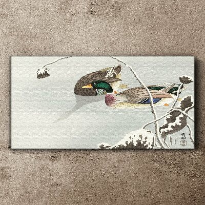 Animals birds water Canvas Wall art
