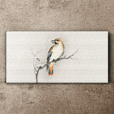 Animals birds branch Canvas Wall art