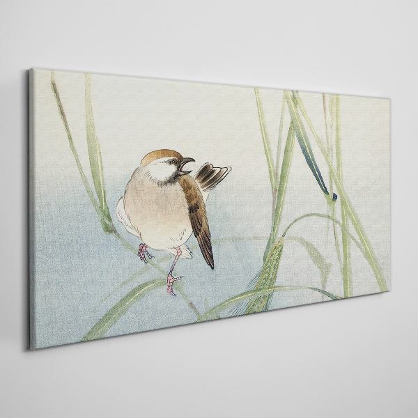 A titmouse against the grass Canvas Wall art