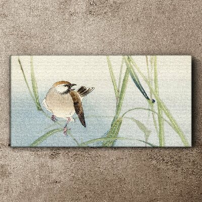 A titmouse against the grass Canvas Wall art
