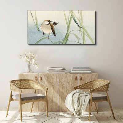 A titmouse against the grass Canvas Wall art