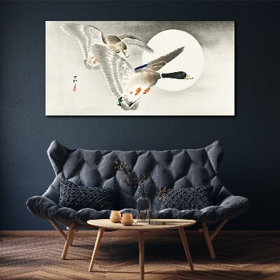 Animals birds ducks Canvas Wall art
