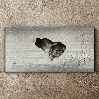 Two ducks on calm water Canvas Wall art