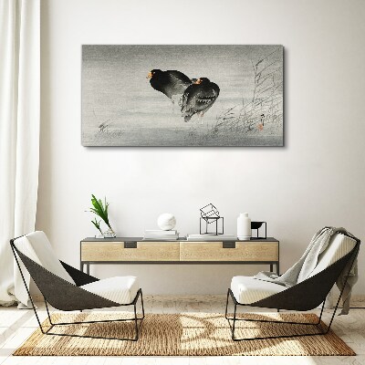 Two ducks on calm water Canvas Wall art