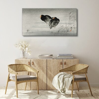 Two ducks on calm water Canvas Wall art
