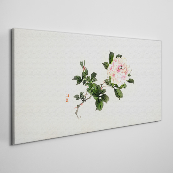 Peony flower on a light background Canvas Wall art