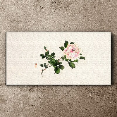 Peony flower on a light background Canvas Wall art