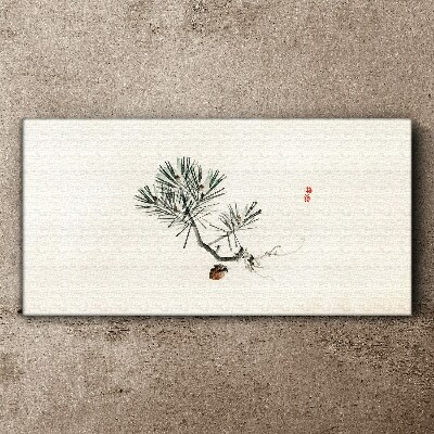 Pine tree on a white background Canvas Wall art