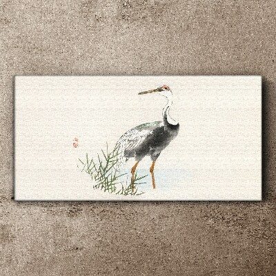 Black stork on the grass background Canvas Wall art