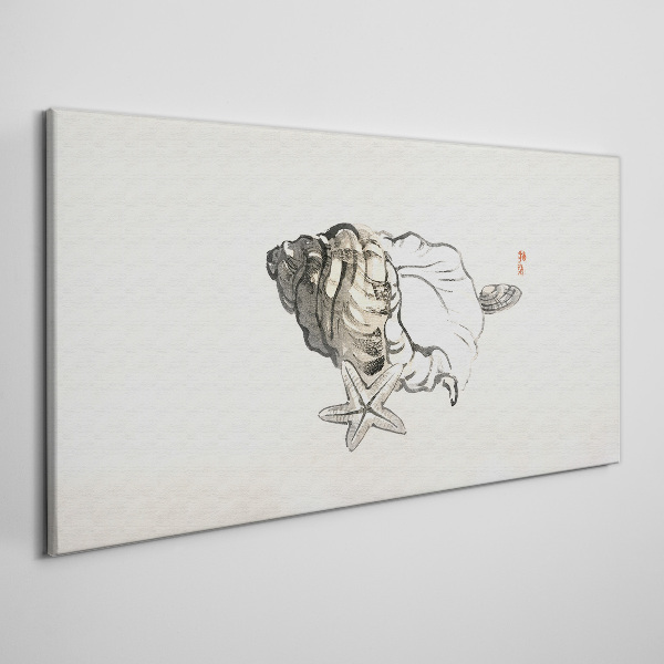 Sea star shell Canvas Wall art