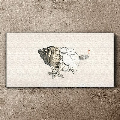 Sea star shell Canvas Wall art
