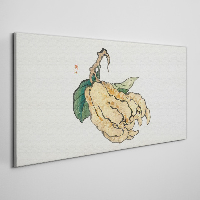 Lemon tree on white background Canvas Wall art
