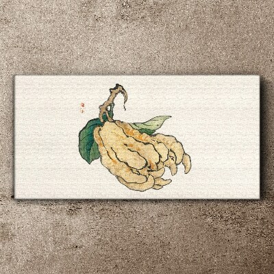 Lemon tree on white background Canvas Wall art