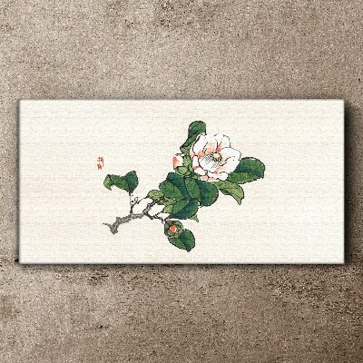 Magnolia flower on a branch Canvas Wall art