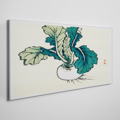 Green radish on a light background Canvas Wall art