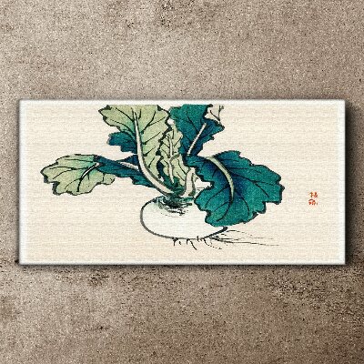Green radish on a light background Canvas Wall art