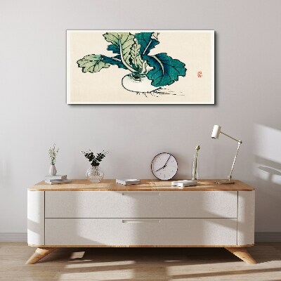 Green radish on a light background Canvas Wall art