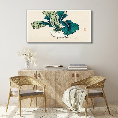 Green radish on a light background Canvas Wall art