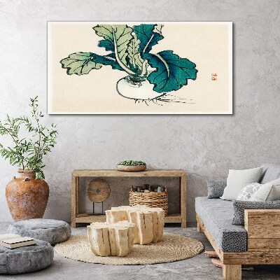 Green radish on a light background Canvas Wall art