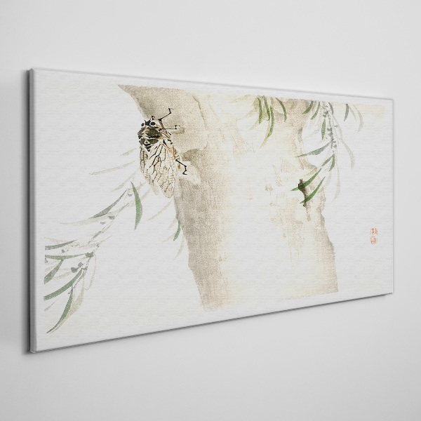 Cicada on the branch background Canvas Wall art