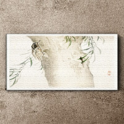 Cicada on the branch background Canvas Wall art