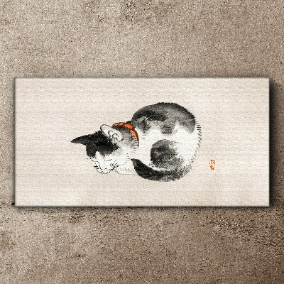 Sleeping cat Canvas Wall art