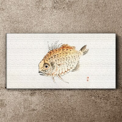 Gold fish on white background Canvas Wall art