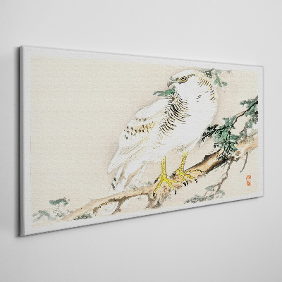 Falcon on a branch Canvas Wall art