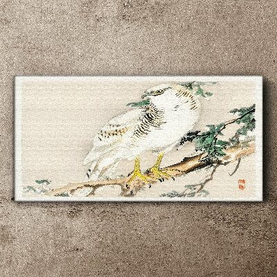 Falcon on a branch Canvas Wall art