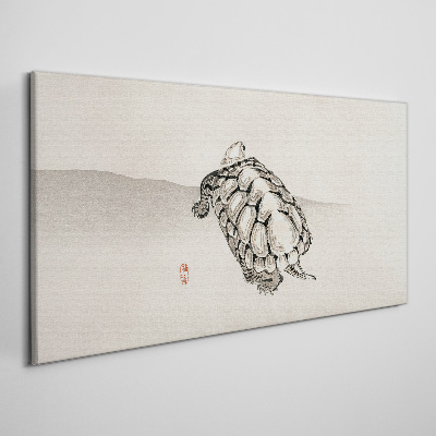Turtle on a minimalist background Canvas Wall art