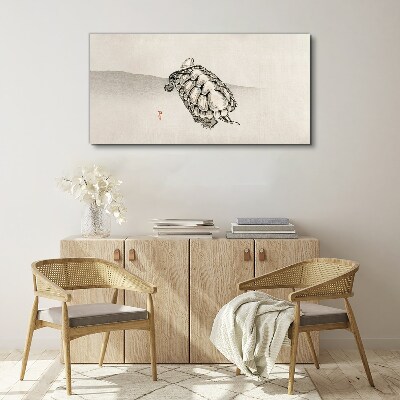 Turtle on a minimalist background Canvas Wall art