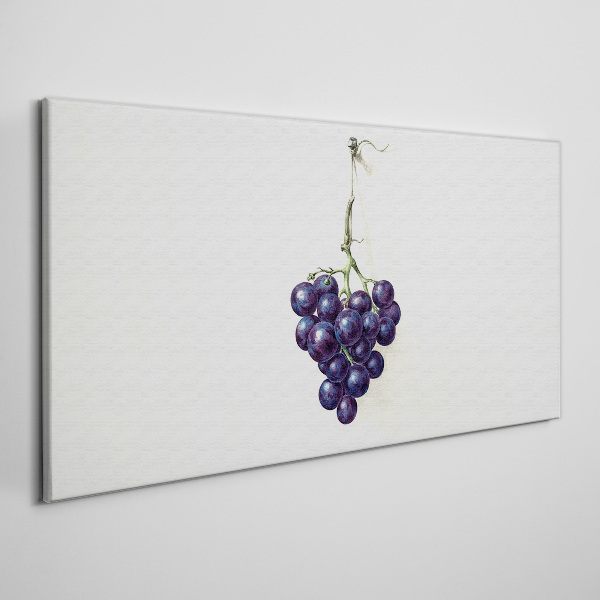 Modern grapes fruit Canvas Wall art