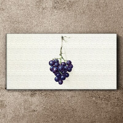 Grapes on a white background Canvas Wall art