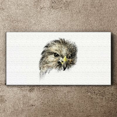 Portrait of a bird of prey Canvas Wall art