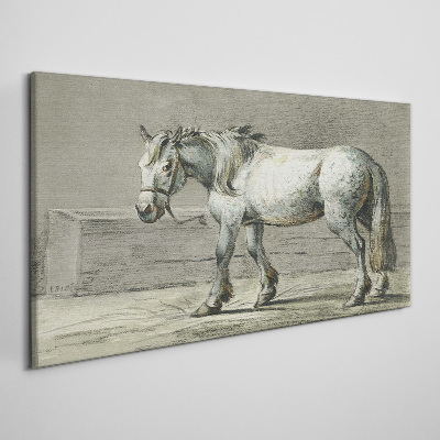 Walking horse in shades of gray Canvas Wall art