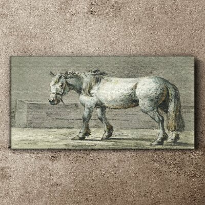 Walking horse in shades of gray Canvas Wall art