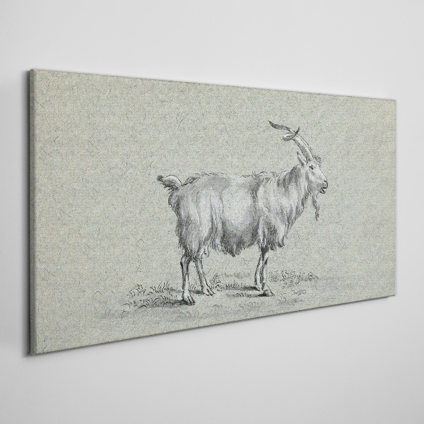 Goat on a gray paper background Canvas Wall art