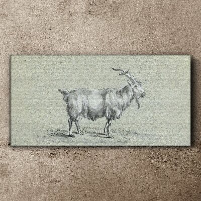Goat on a gray paper background Canvas Wall art