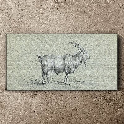 Modern animal goat Canvas Wall art