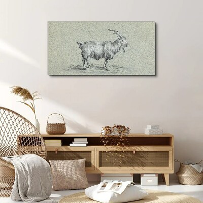 Goat on a gray paper background Canvas Wall art