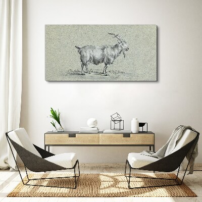 Goat on a gray paper background Canvas Wall art