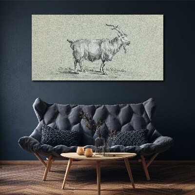 Goat on a gray paper background Canvas Wall art